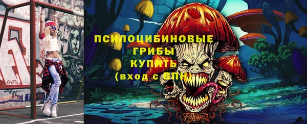 меф Белокуриха
