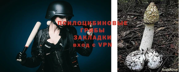 a pvp Беломорск