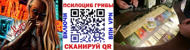 даркнет сайт  Чкаловск  Галлюциногенные грибы Magic Shrooms 